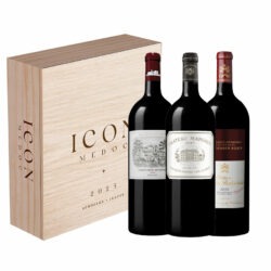 Magnums Iconiques 2025